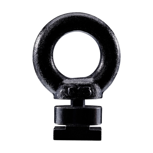 [611340] Thule Caprock eye bolt kit